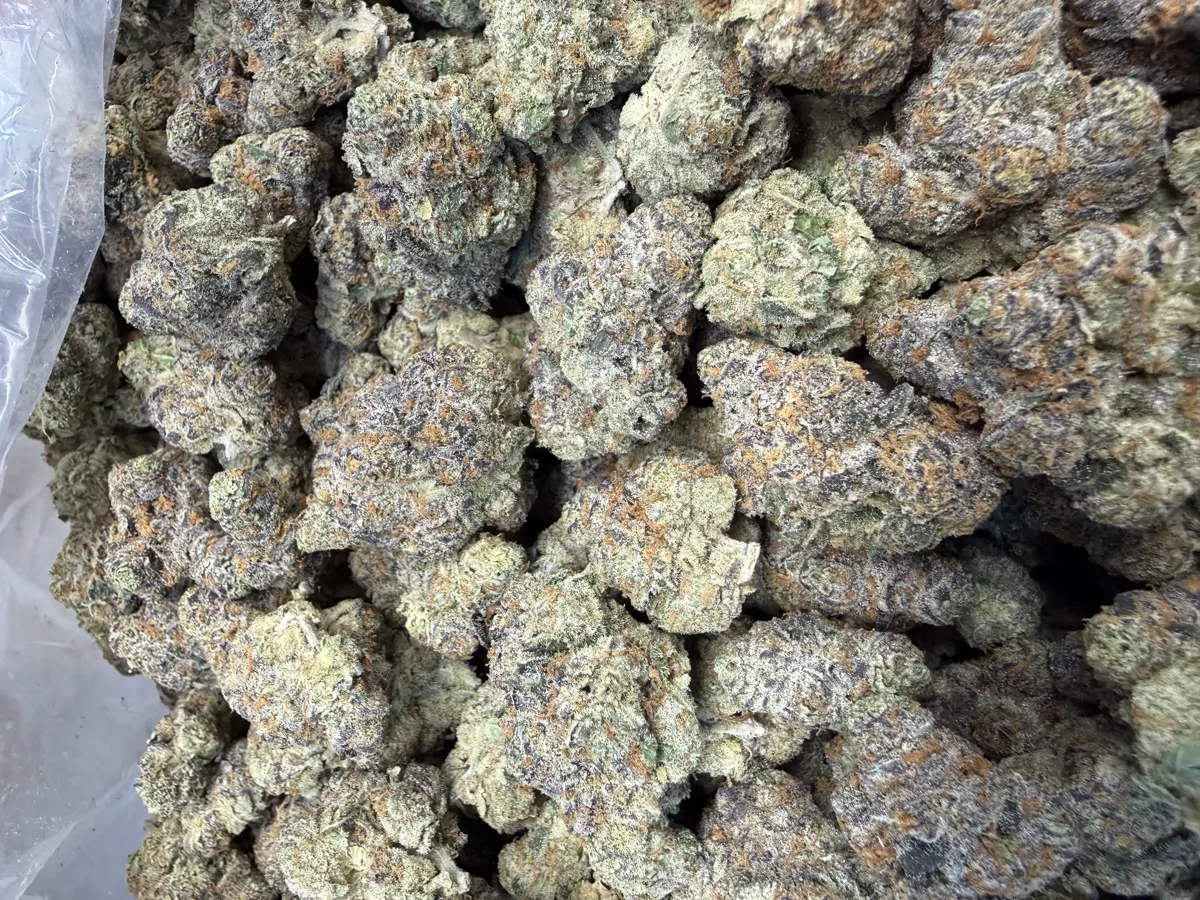 Cream Smoothie Flower